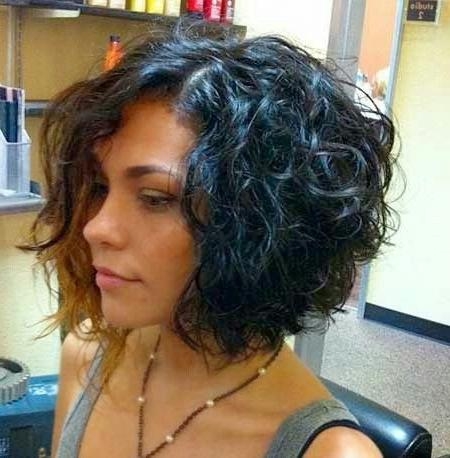 100 Brazilian Virgin Human Hair Short Bob Curly Full Lace Wig Lace Front Wig