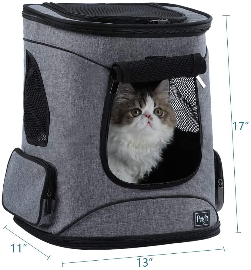 front facing cat carrier
