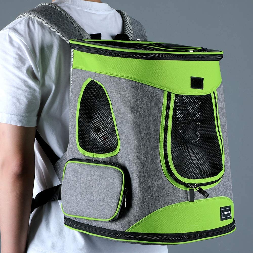 petsfit cat backpack