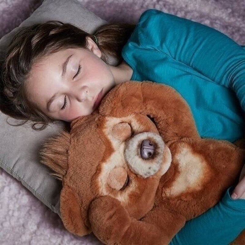 curious bear interactive toy