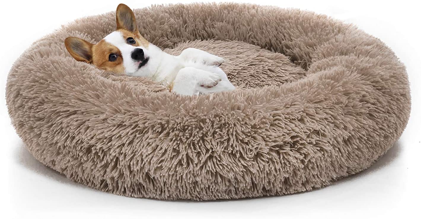 round memory foam dog bed
