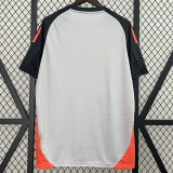 24/25 Benfica White Grey Training shirts
