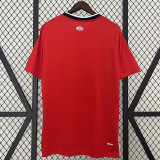 24/25  Lille Home Fans Soccer Jersey