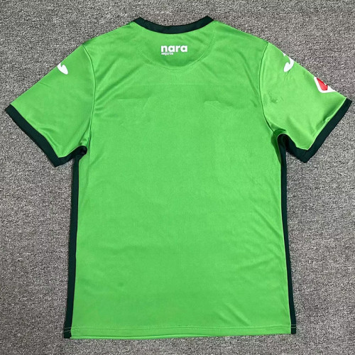 24/25 Leganes Away Fans Soccer Jersey