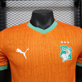 24/25 Cote d'Ivoire Home  Player Version Soccer Jersey