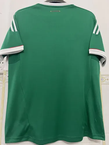 2011/2012 Mexico Home Retro Soccer Jersey