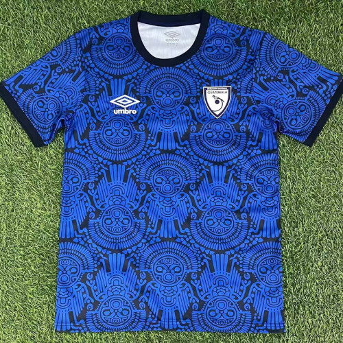25/26 Bolivia  Blue  Training Shirts
