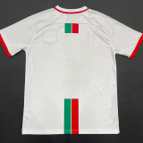 24/25 Palestine White Arabic Version Fans Soccer Jersey(阿拉文）