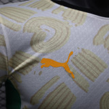 24/25 Cote d'Ivoire Away Player Version Soccer Jersey