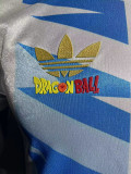 24/25 Argentina White Blue Special Edition  Player Version Soccer Jersey