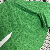 24/25 Ireland Home Fans Soccer Jersey