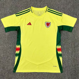 2024 Wales Away Fans Soccer Jersey