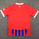 24/25 Heidenheim Home Fans Soccer Jersey