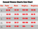 2025 New Grey Quick Drying  Casual Fitness Shorts#新款速干短裤