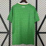 24/25 Ireland Home Fans Soccer Jersey