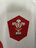 24/25 Wales Away Rugby Jersey