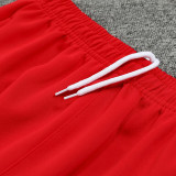 25/26  Bayern Red Jacket Tracksuit