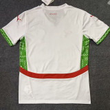 24/25 Morocco Away  Fans Soccer Jersey