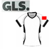 24/25 Dortmund Black and Yellow Special Edition Player version Soccer Jersey