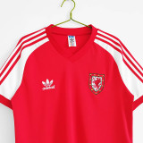 1982 Wales Home Retro Soccer Jersey