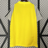 24/25 Flamengo Yellow Polo Training shirts（翻领）