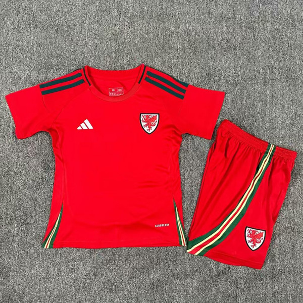 2024 Wales  Home Kids Soccer Jersey