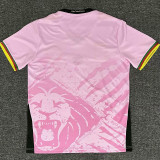 25/26 Cameroon Special Edition Pink Fans Soccer Jersey