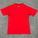 2024 Wales Home Fans Soccer Jersey