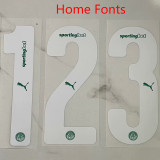 25/26  Palmeiras Home  Player Version Soccer Jersey