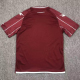 24/25 Salernitana Home Fans Soccer Jersey