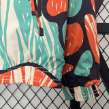 24/25 ARS Blue Oil painting collage painting collage Double Sided Windbreaker (双面风衣)