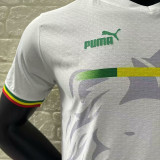 24/25 Senegal White Lion's Head Special Edition Player Version Soccer Jersey(狮头)
