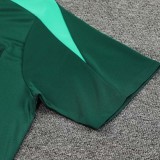 24/25 Portugal Green Training Short Suit