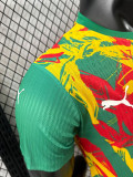24/25 Senegal Green Puzzle Player Version Training Shirts