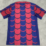 24/25 BAR Red and Blue Training shirts