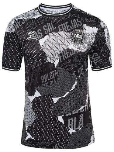 2024 Denmark Grey Black Training Shirts