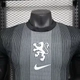 2025 Netherlands  Grey Goalkeeper Player Version Soccer Jersey