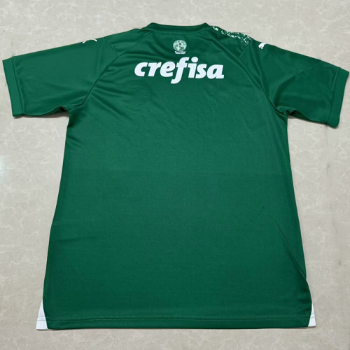 24/25 Palmeiras Green Special Edition  Fans Soccer Jersey