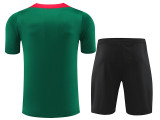 24/25 LIV Green Training Short Suit(绿色红肩）