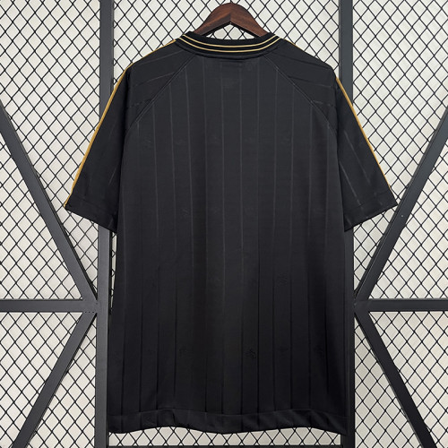 24/25 Santos FC Anniversary Edition Fans Soccer Jersey