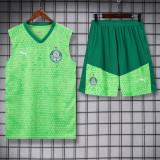24/25  Palmeiras White Green Tank top and shorts suit（白绿）