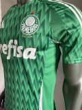 24/25 Palmeiras Green Special Edition Player Version Soccer Jersey