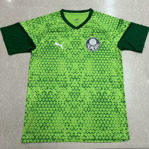 24/25 Palmeiras Grass Green Training shirts 24/25 Palmeiras Grass Green Training shirts