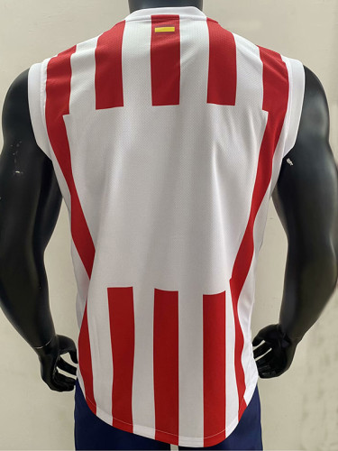 25/26 ATM  Home Player Version Vest