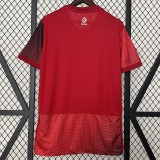 2024 Poland Away  Fans Soccer Jersey
