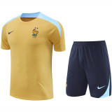 24/25 France Mud Yellow  Training Short Suit