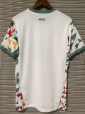 24/25 Palermo White  Fans Soccer Jersey