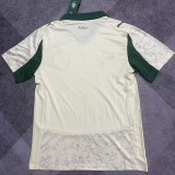 25/26  Palmeiras Third   Fans Soccer Jersey