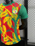 24/25 Senegal Green Puzzle Player Version Training Shirts