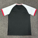 24/25 Japan Warrior Face Edition Fans Soccer Jersey